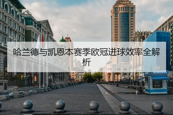 哈兰德与凯恩本赛季欧冠进球效率全解析